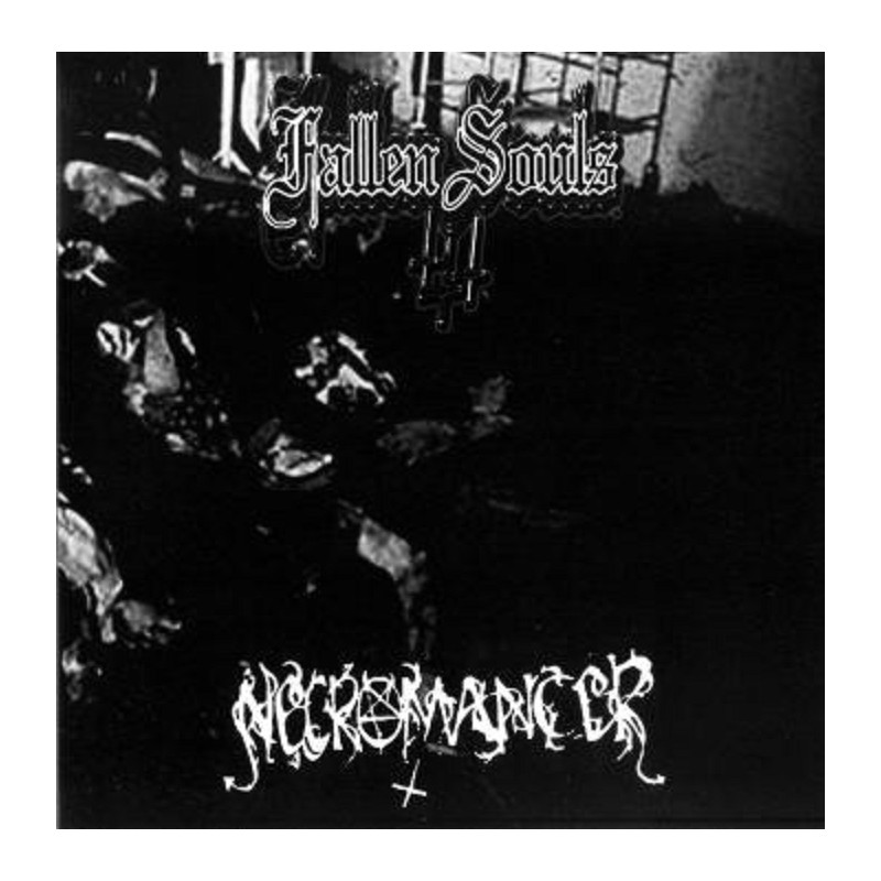 Fallen Souls / Necromancer - Split EP