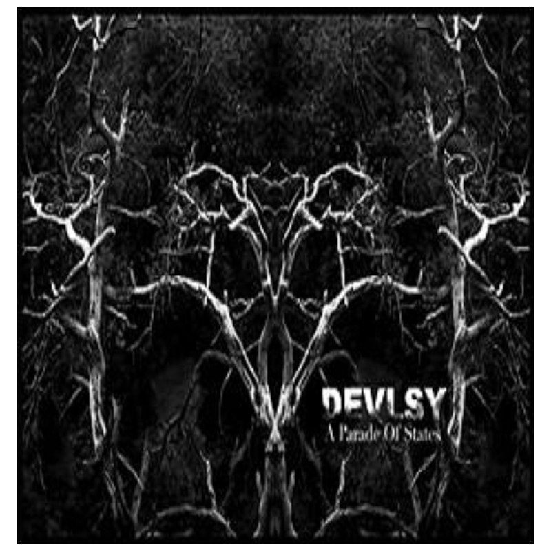 Devlsy - A Parade of States CD