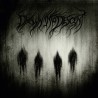 Drawn into Descend - Drawn into Descend CD