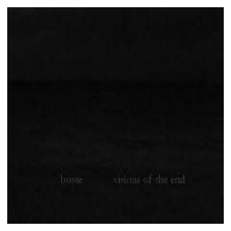 Bosse - Visions of the End DIGIFILE