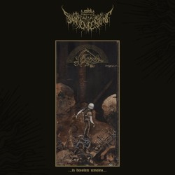 Schattenfestung - In Desolate Remains DIGIPACK