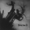 Distant Shapes - Life Forsaken LP