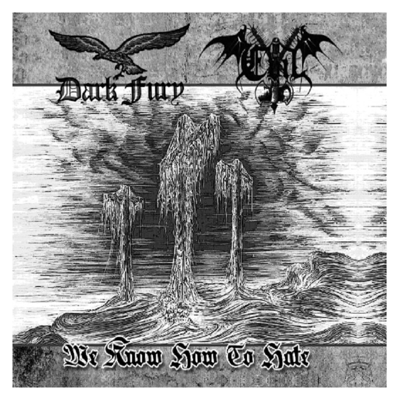 Dark Fury / Evil - We Know How to hate DIGIPACK