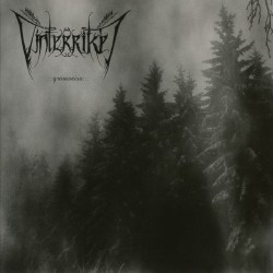 Vinterriket - Grauweiss DIGIPACK