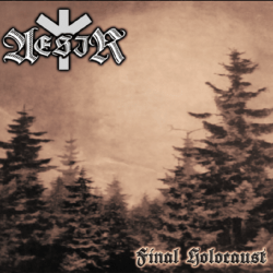 Aesir - Final Holocaust LP