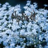 Niphredil - The Final Star CD